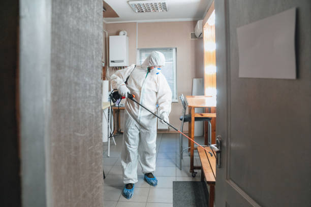 Mold Remediation for Rental Properties in Porter, IN