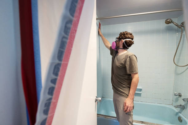 Best Mold Damage Restoration  in Porter, IN